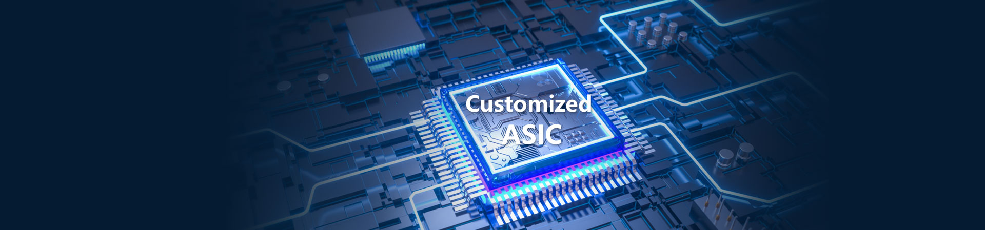 Customized ASIC